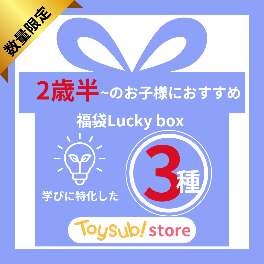 ✨福袋✨【数量限定!】2歳半~のお子様におすすめの学びに特化したLucky box【お楽しみ3種】