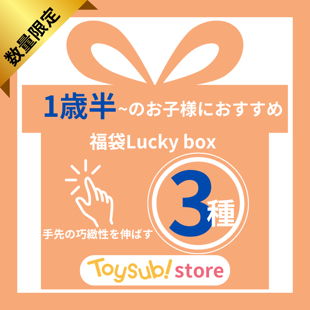 ✨福袋✨【数量限定!】1歳半頃からおすすめ☆手先の巧緻性を伸ばすおもちゃセット【お楽しみ3種】