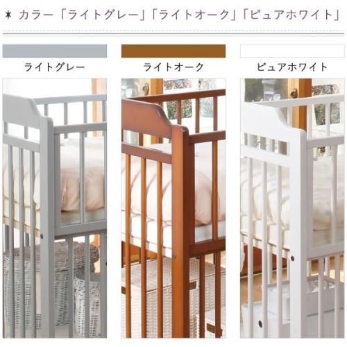 エクタ キンタロー(Kintaro)【6ヵ月目以降はいつでも返却可能】