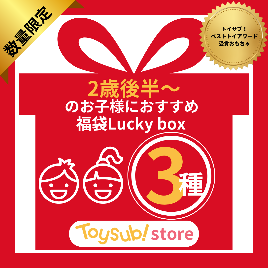 ✨福袋✨【数量限定!】トイサブ!ベストトイアワード受賞おもちゃ♪2歳ごろからのお子様におすすめのLucky box【お楽しみ3種】