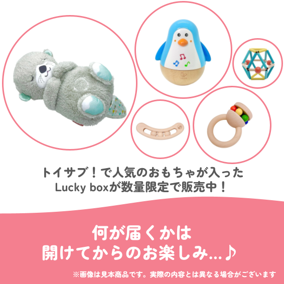 ✨福袋✨【数量限定!】0歳3か月~0歳5か月のお子様におすすめのLucky boxB【お楽しみ5種】