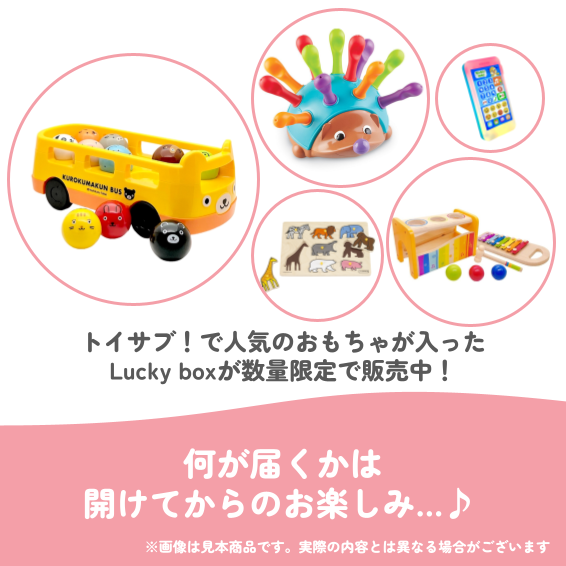 ✨福袋✨【数量限定!】1歳7か月~1歳11か月のお子様におすすめのLucky boxJ【お楽しみ5種】