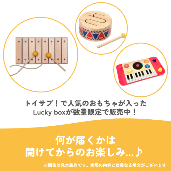 ✨福袋✨【数量限定!】1歳半から楽しめる音あそびが好きなお子様におすすめのLucky box【お楽しみ3種】