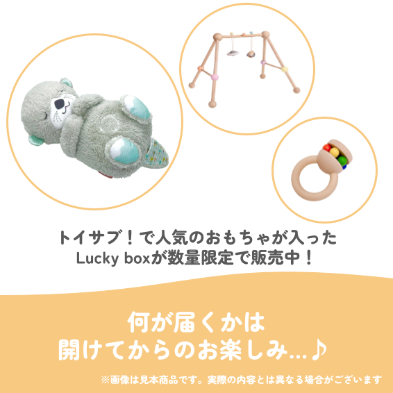 ✨福袋✨【数量限定!】生まれたてベビーにおすすめのLucky box【ファーストトイお楽しみ3種】