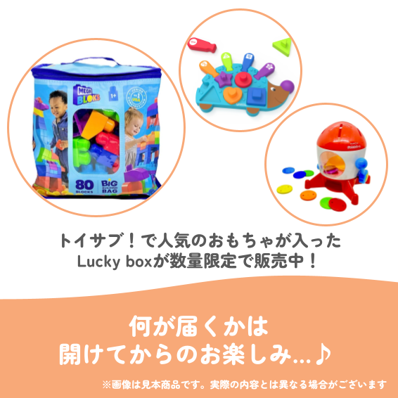 ✨福袋✨【数量限定!】1歳半頃からおすすめ☆手先の巧緻性を伸ばすおもちゃセット【お楽しみ3種】