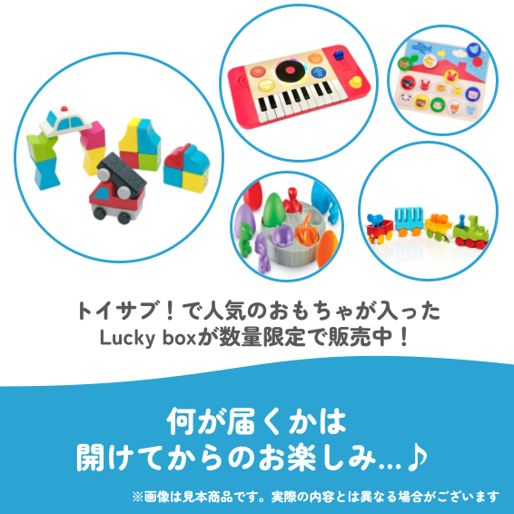 ✨福袋✨【数量限定!】2歳代のお子様におすすめのLucky boxL【お楽しみ5種】