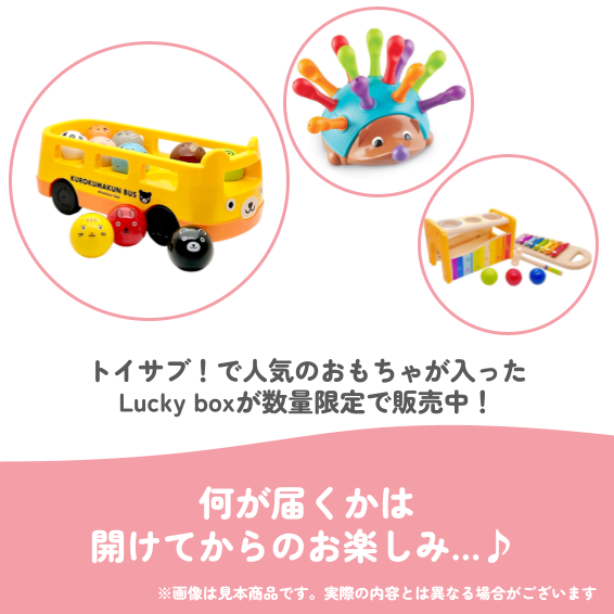✨福袋✨【数量限定!】1歳7か月~1歳11か月のお子様におすすめのLucky boxI【お楽しみ3種】