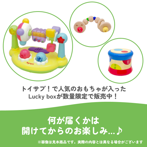 ✨福袋✨【数量限定!】0歳6か月~0歳8か月のお子様におすすめのLucky boxC【お楽しみ3種】