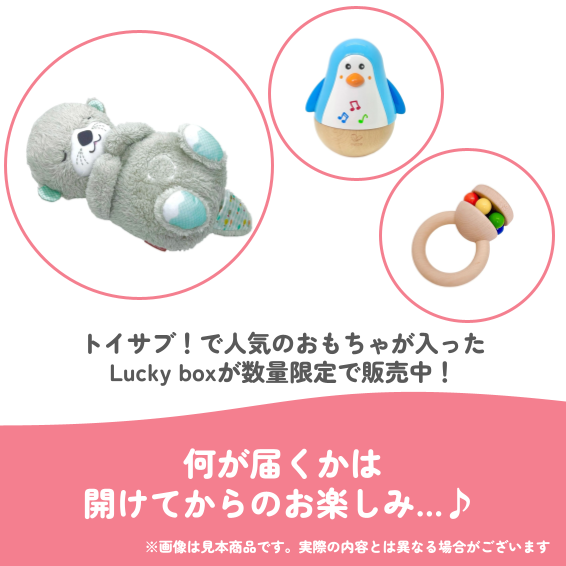 ✨福袋✨【数量限定!】0歳3か月~0歳5か月のお子様におすすめのLucky boxA【お楽しみ3種】