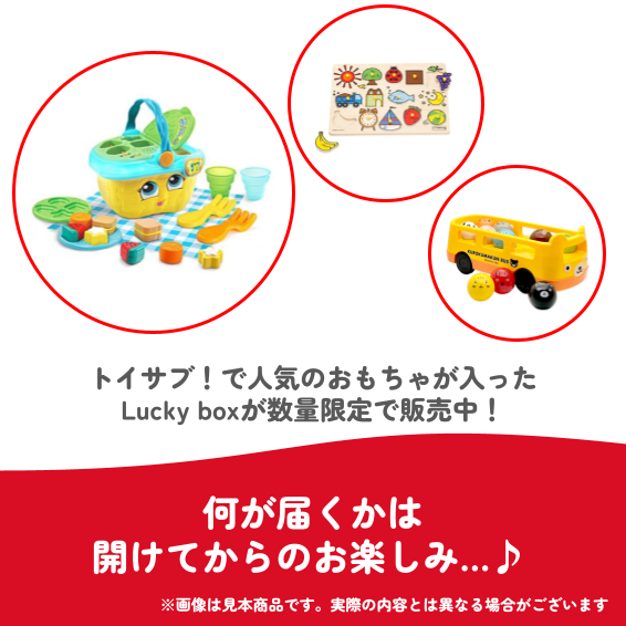 ✨福袋✨【数量限定!】トイサブ!ベストトイアワード受賞おもちゃ♪1歳~2歳のお子様におすすめのLucky box【お楽しみ3種】