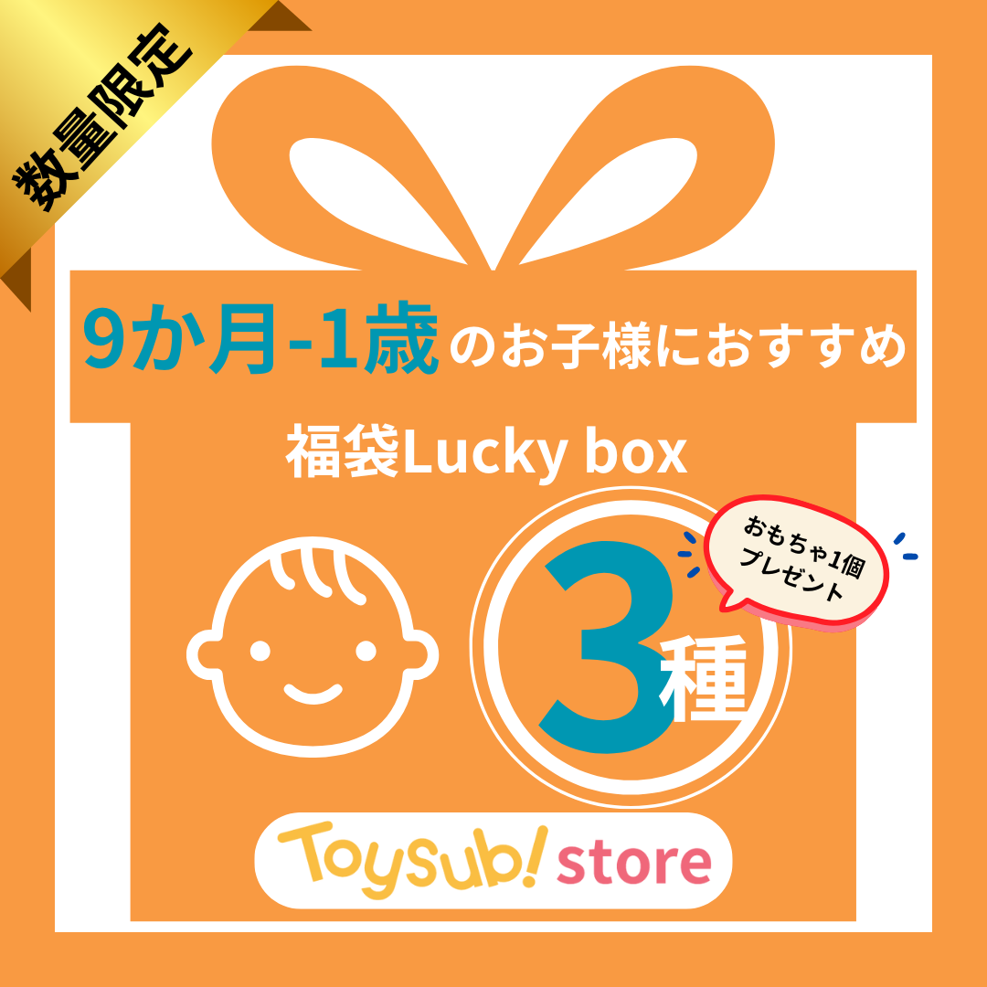✨新春セール✨0歳9か月~1歳のお子様におすすめのLucky boxE【お楽しみ3種】＋1