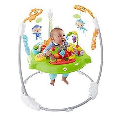レインフォレスト・ジャンパルー2 フィッシャープライス(FisherPrice) ジャンパルー【6ヵ月目以降はいつでも返却可能】