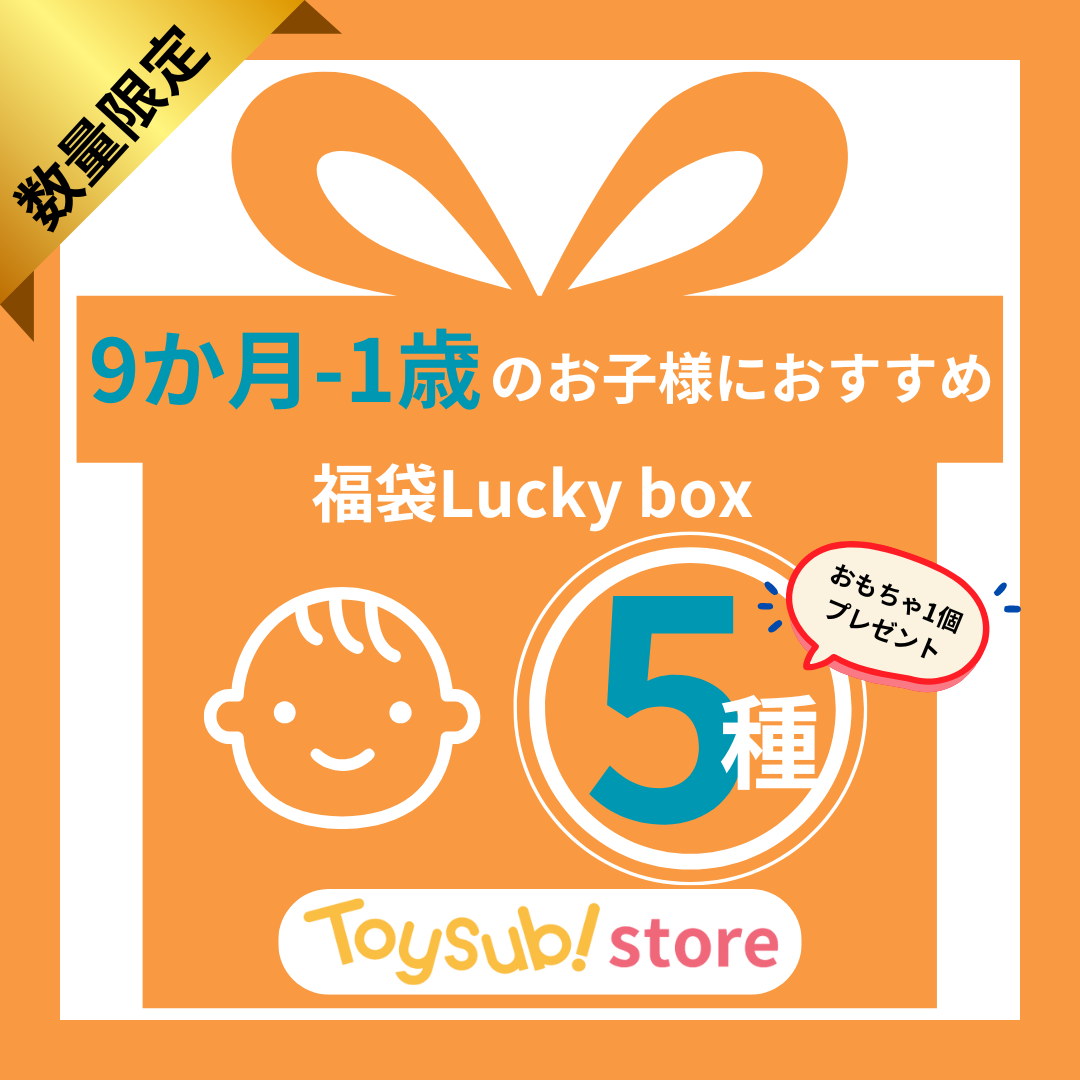 ✨新春セール✨0歳9か月~1歳のお子様におすすめのLucky boxF【お楽しみ5種】＋1