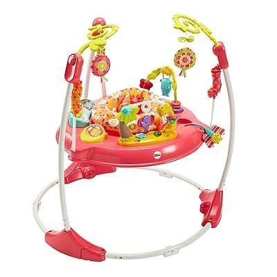 ピンクフラワー ジャンパルー フィッシャープライス(FisherPrice) ジャンパルー【6ヵ月目以降はいつでも返却可能】