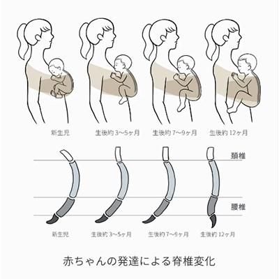 抱っこ紐(サイズ固定モデル) コニー 抱っこ紐・おんぶ紐【6ヵ月目以降はいつでも返却可能】