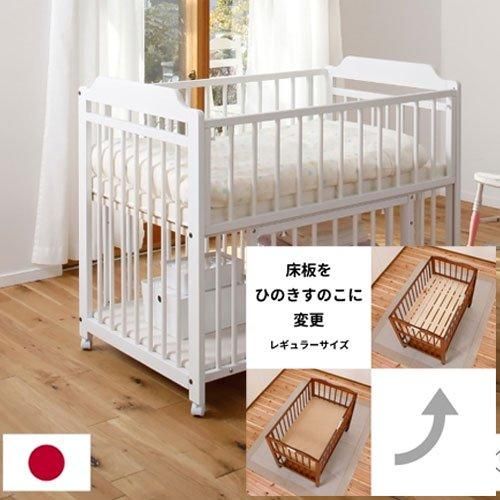 エクタ キンタロー（Kintaro）【6ヵ月目以降はいつでも返却可能】