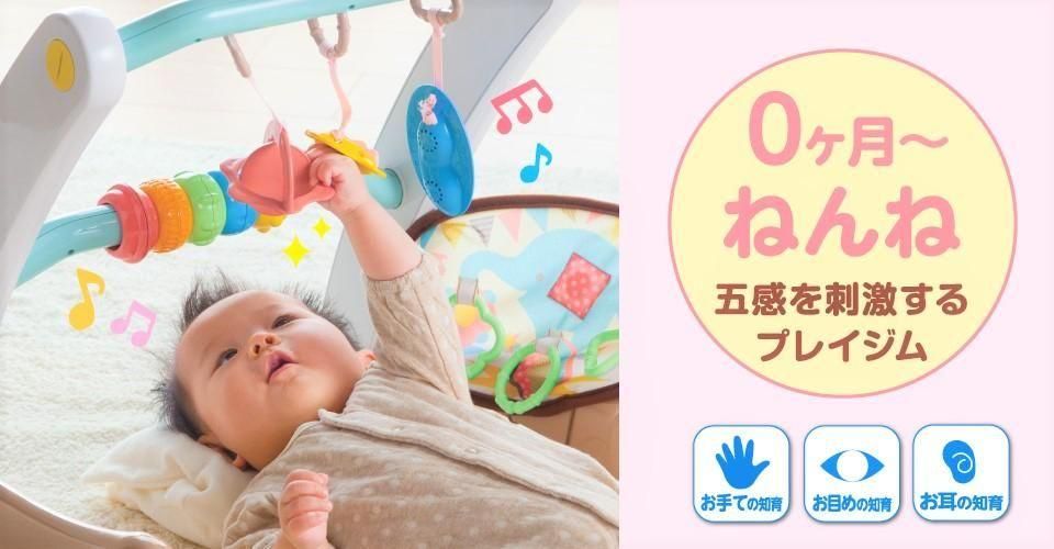 うちの赤ちゃん世界一 スマート知育ジム&ウォーカー ベビージム ピープル(People)【6ヵ月目以降はいつでも返却可能】