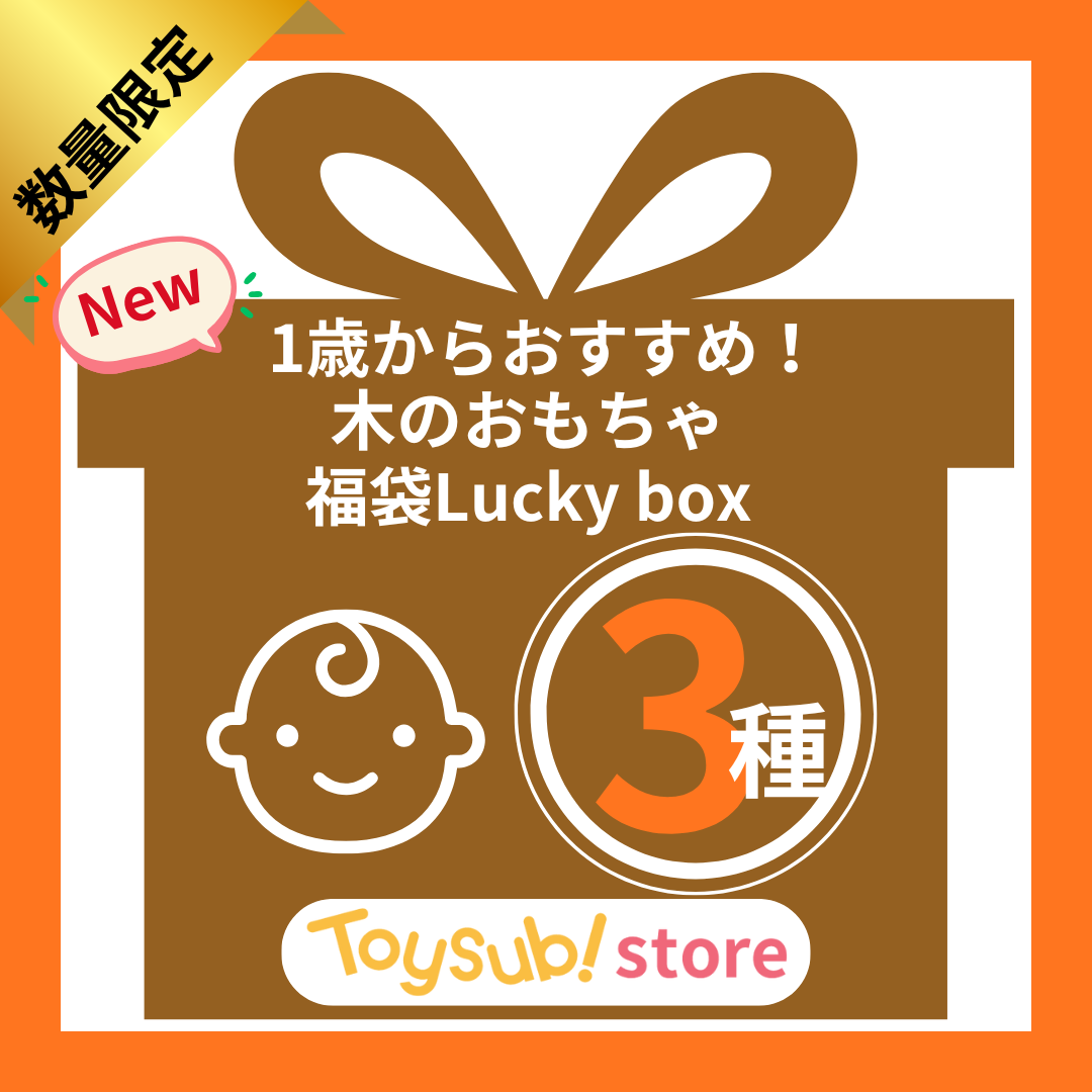 【数量限定！】1歳代～おすすめのLucky box【木のおもちゃ_お楽しみ3種】