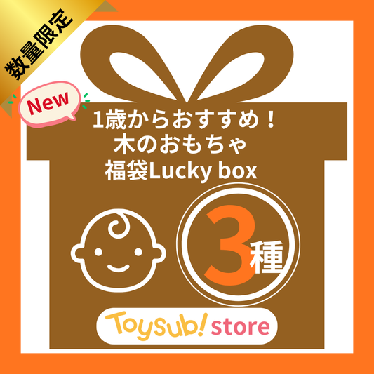 【数量限定！】1歳代～おすすめのLucky box【木のおもちゃ_お楽しみ3種】
