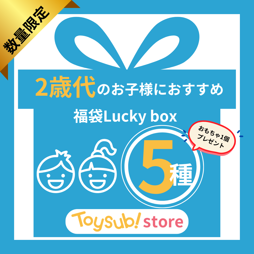 ✨新春セール✨2歳代のお子様におすすめのLucky boxL【お楽しみ5種】＋1