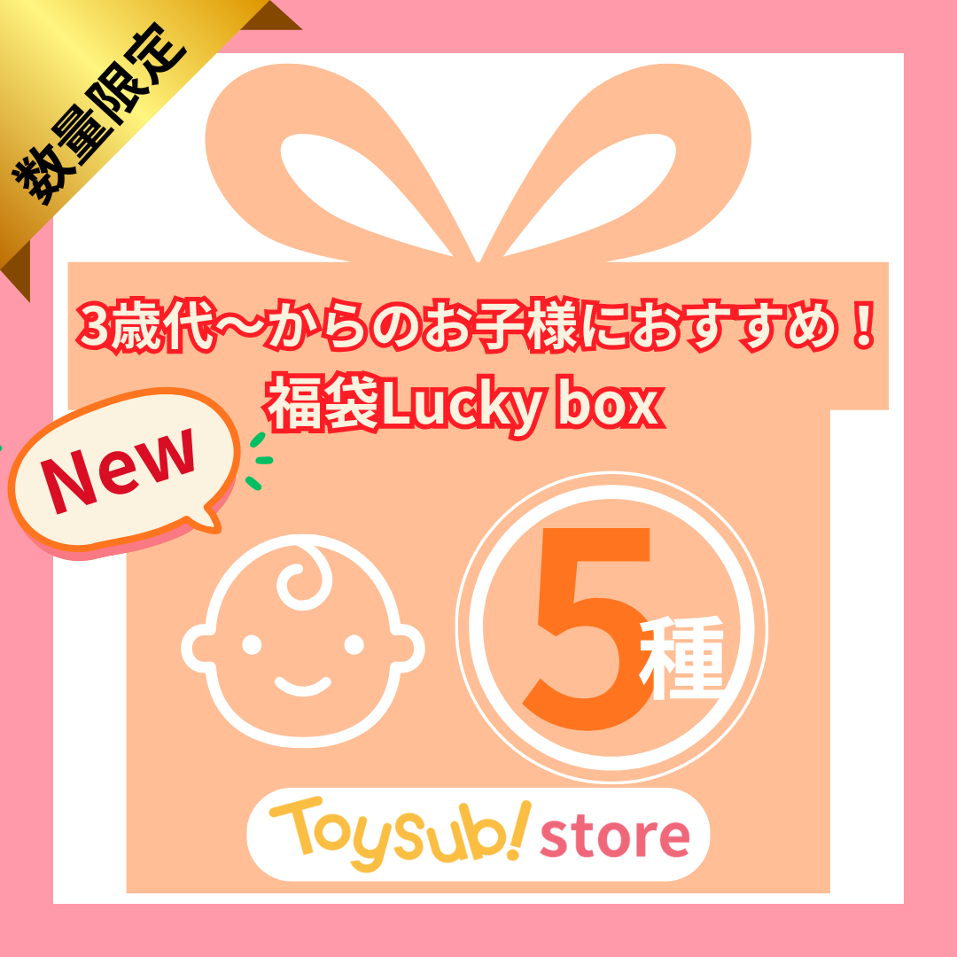 ✨福袋✨【数量限定！】3歳代～おすすめのおもちゃLucky boxN【お楽しみ5種】