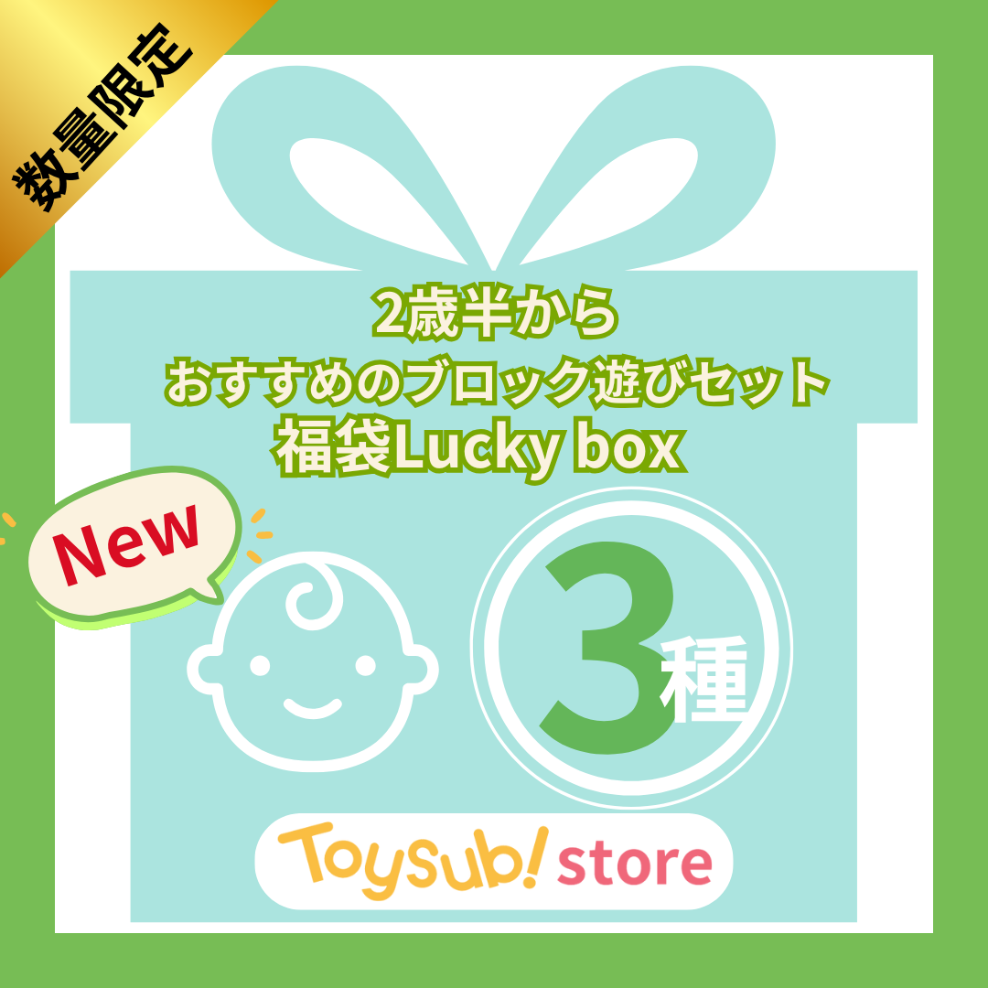 ✨福袋✨【数量限定！】2歳半からおすすめのブロック遊びセット【お楽しみ3種】