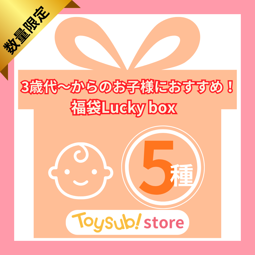 ✨福袋✨【数量限定！】3歳代～おすすめのおもちゃLucky boxN【お楽しみ5種】