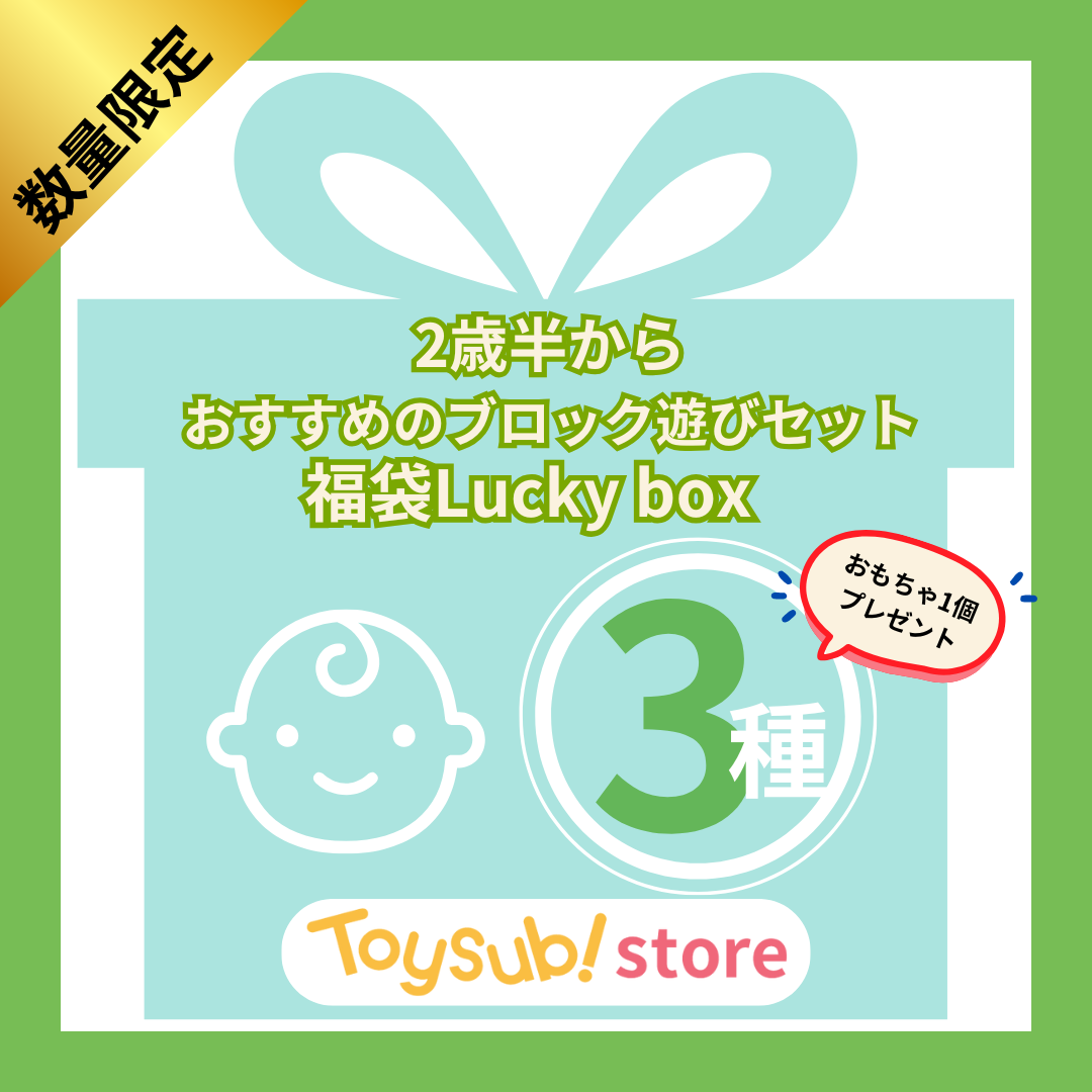 ✨新春セール✨ 2歳半からおすすめのブロック遊びセット【お楽しみ3種】＋1