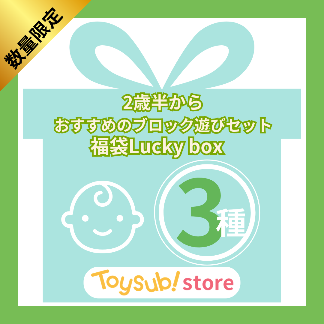 ✨福袋✨【数量限定！】2歳半からおすすめのブロック遊びセット【お楽しみ3種】