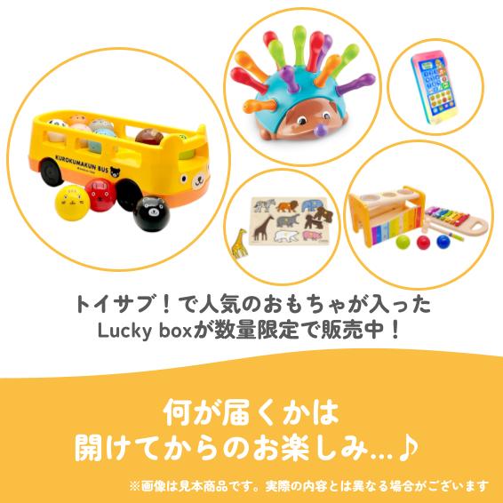 【数量限定！】1歳7か月~1歳11か月のお子様におすすめのLucky box【お楽しみ5種】の説明