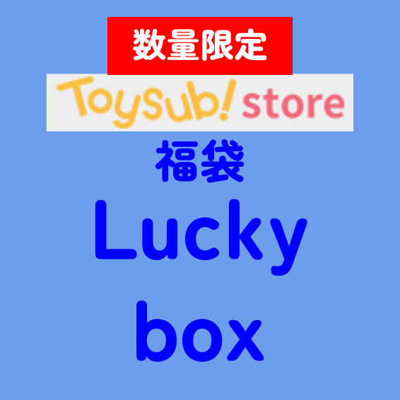 ✨2025福袋✨【数量限定！】のりものおもちゃが大好きなお子様におすすめのLucky box【お楽しみ3種】