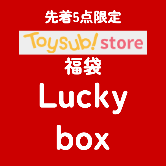 ✨2025福袋✨新品【5名限定！】10ヶ月頃~のお子様におすすめのトイサブ！で大人気のおもちゃ【お楽しみ3種】