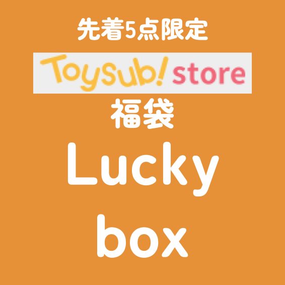 ✨2025福袋✨新品【5名限定！】2歳前後のお子様におすすめのトイサブ！で大人気のおもちゃ【お楽しみ3種】