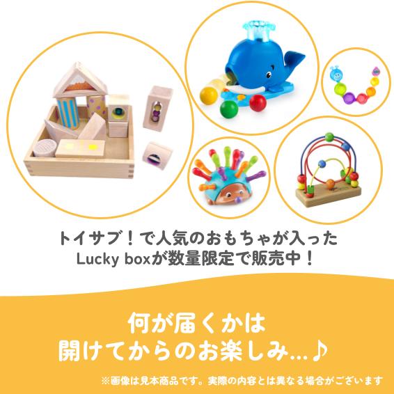 【クリスマスセール!】1歳1か月~1歳6か月のお子様におすすめのLucky box【お楽しみ5種】+1